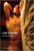 I Like It Like That: True Tales of Gay Male Desire